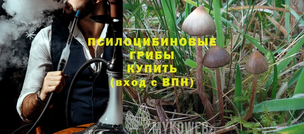 крисы Алексин