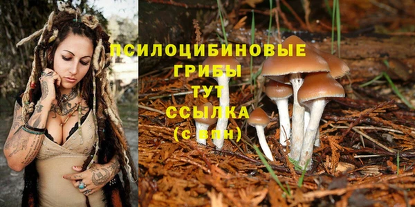 эйфоретик Алексеевка