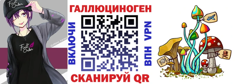 Галлюциногенные грибы мицелий  KRAKEN зеркало  Динская 